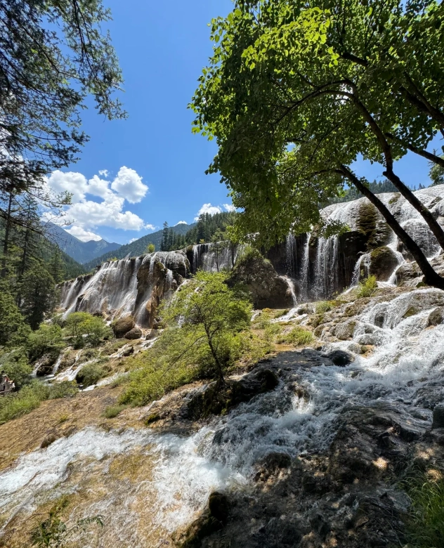 jiuzhaigou tickets booking