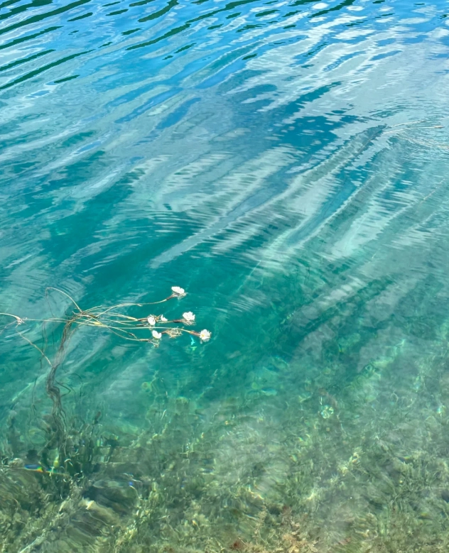 Lugu Lake boat tour Lugu Lake boat tour