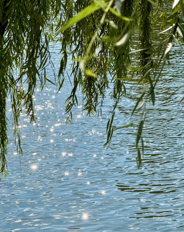 Green Lake Park seasons Green Lake Park seasons