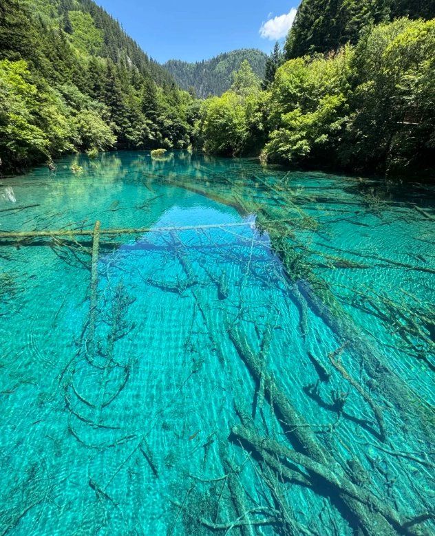 How to Visit Jiuzhaigou: Insider Tips for a Stress-Free Trip