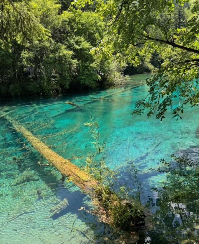jiuzhaigou travel tips