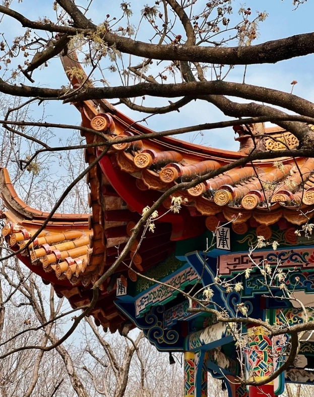 Kunming Green Lake Park tips Kunming Green Lake Park tips