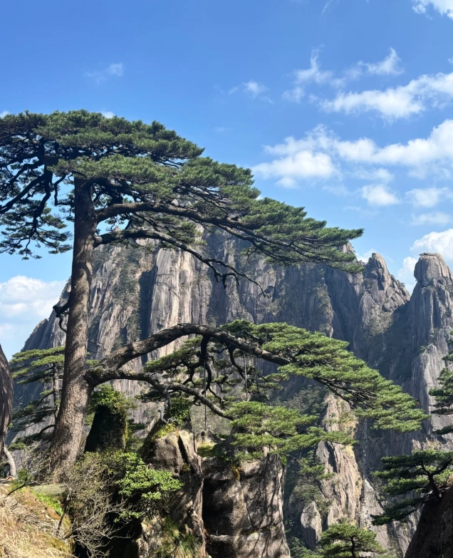 huangshan day tour huangshan day tour