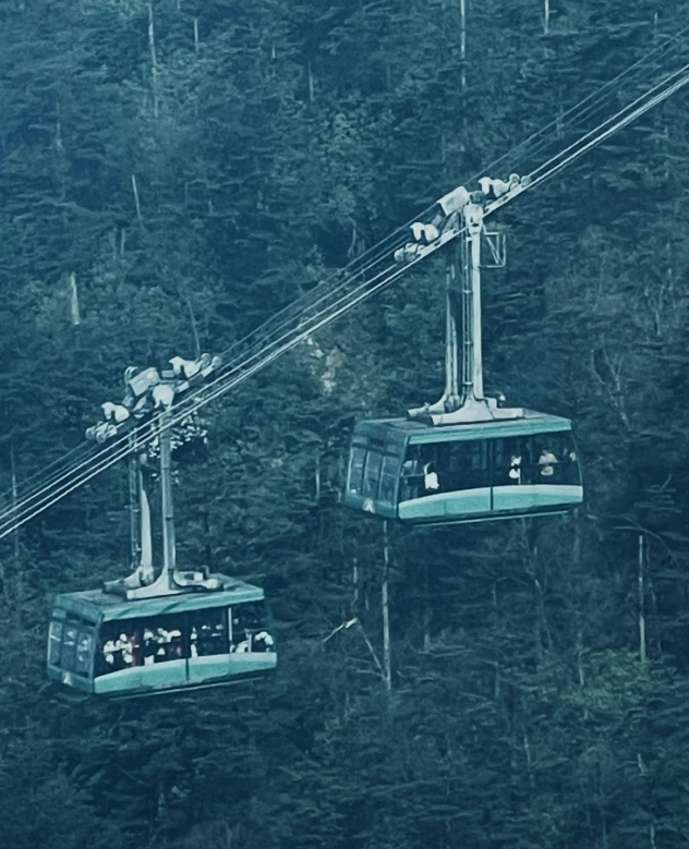 how to avoid crowds on Mount Emei cable car