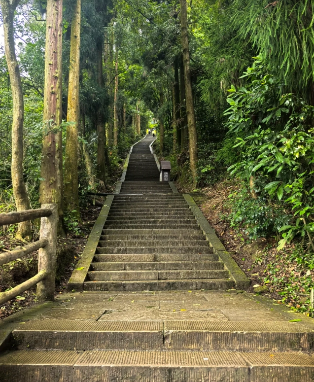 Mount Emei: Avoid Crowds & Save Money in 2025