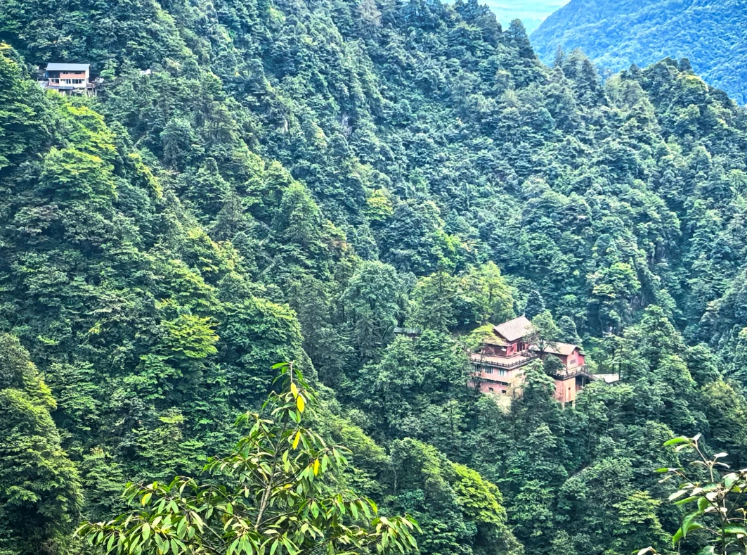 Mount Emei travel tips Mount Emei travel tips