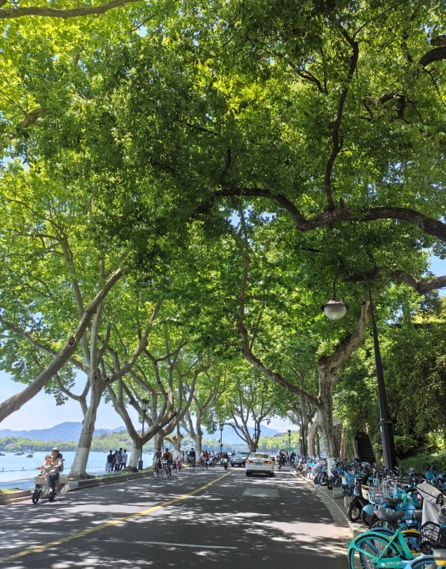 West Lake Biking Route: Insider's 15K Loop for First-Timers