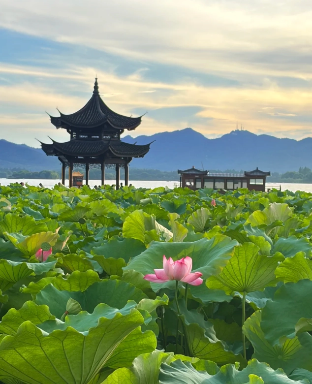 How to Get to West Lake: Avoid These 5 Transport Mistakes