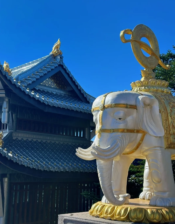 when to see sea of clouds Mount Emei when to see sea of clouds Mount Emei