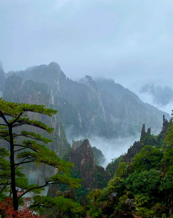 Huangshan day trip