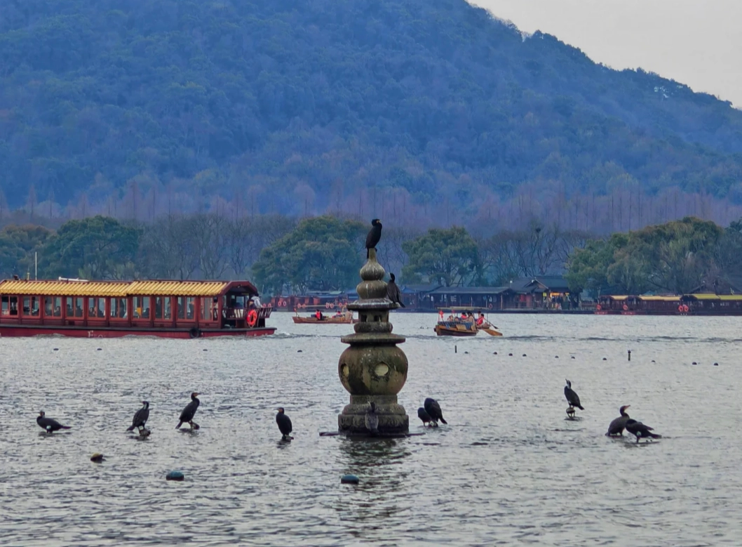 visiting West Lake visiting West Lake
