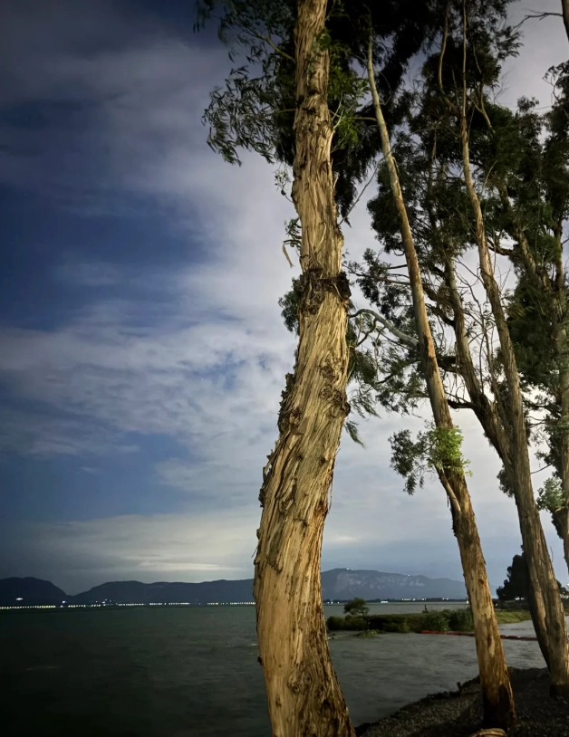 things to do in kunming