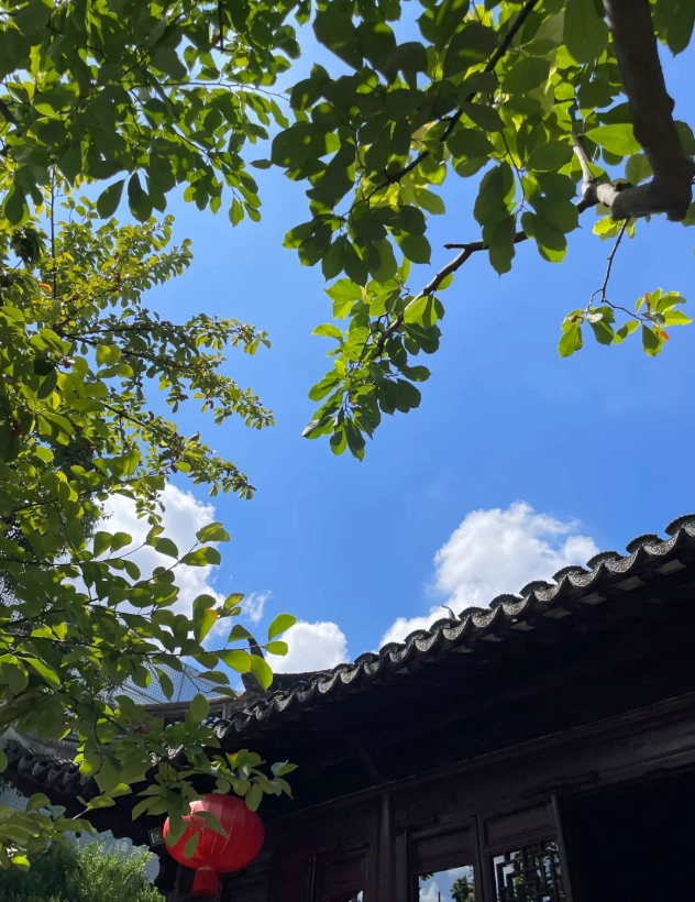how to visit yu garden how to visit yu garden