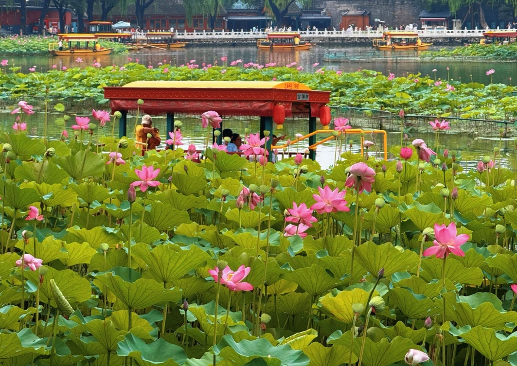 Beihai Park opening hours