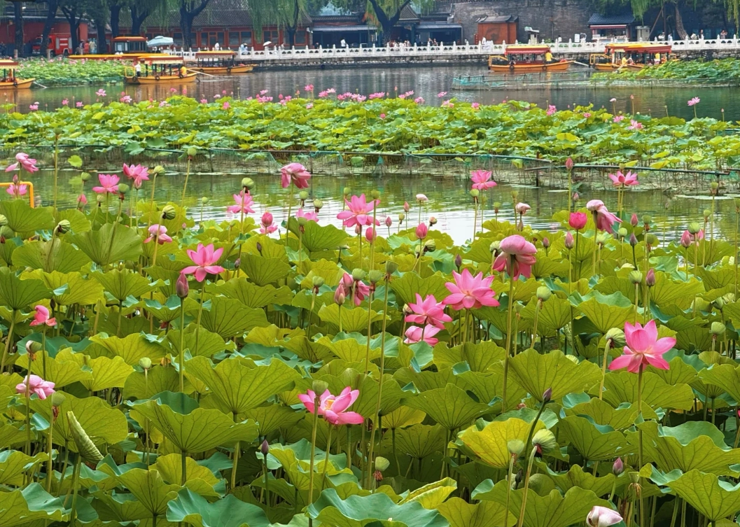 how to buy Beihai Park tickets