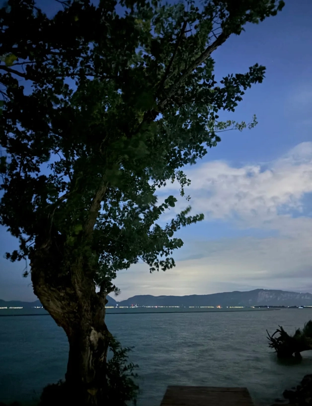 dianchi lake review