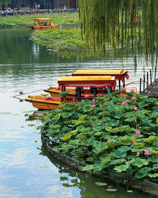 Beihai Park guide