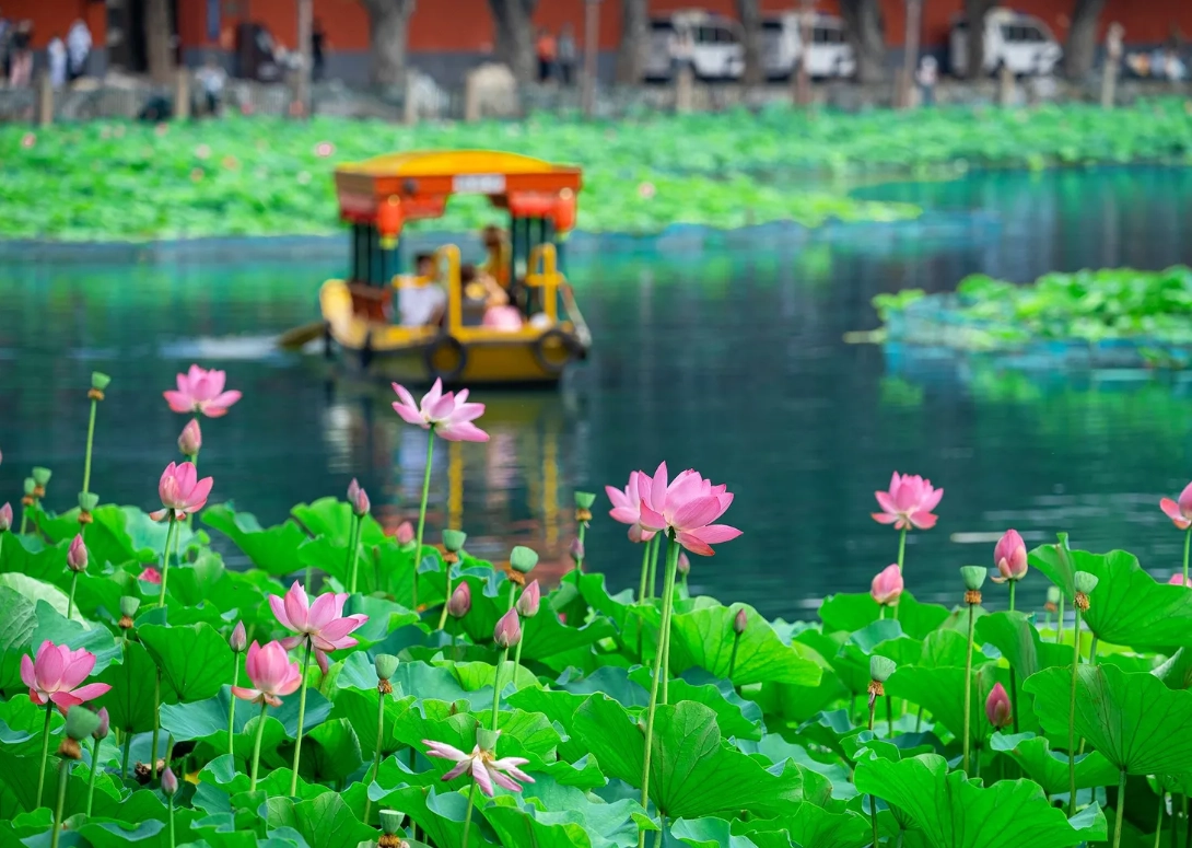 Beihai Park highlights