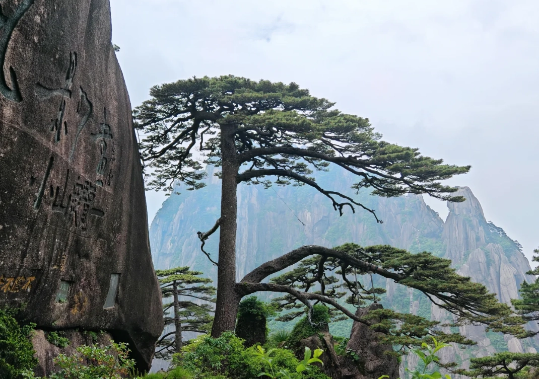 Huangshan mountain accommodation Huangshan mountain accommodation