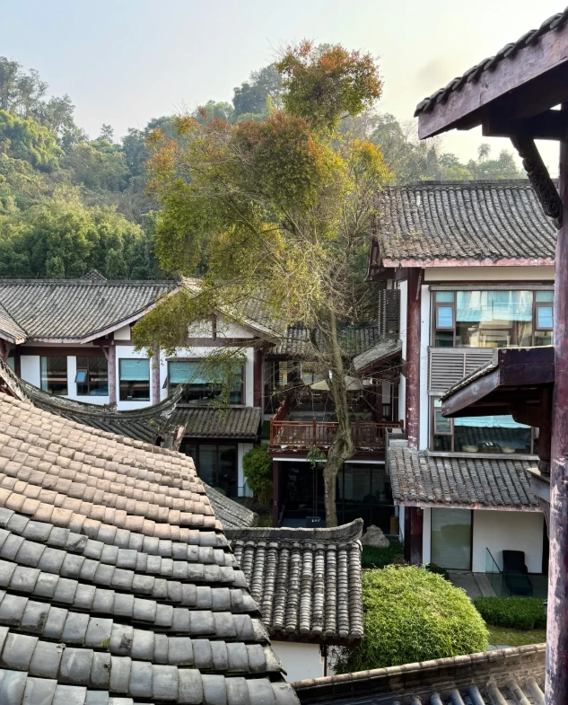 Where to Stay Near Leshan Giant Buddha: Best Hotels & Areas