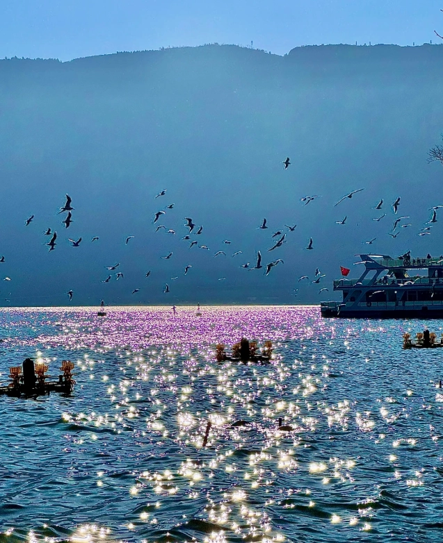 dianchi lake boat tour