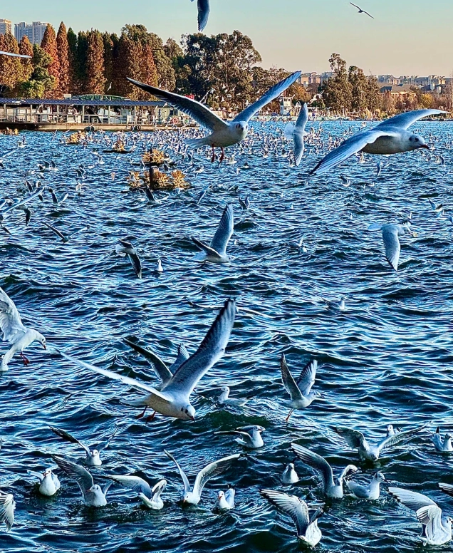 dianchi lake kunming