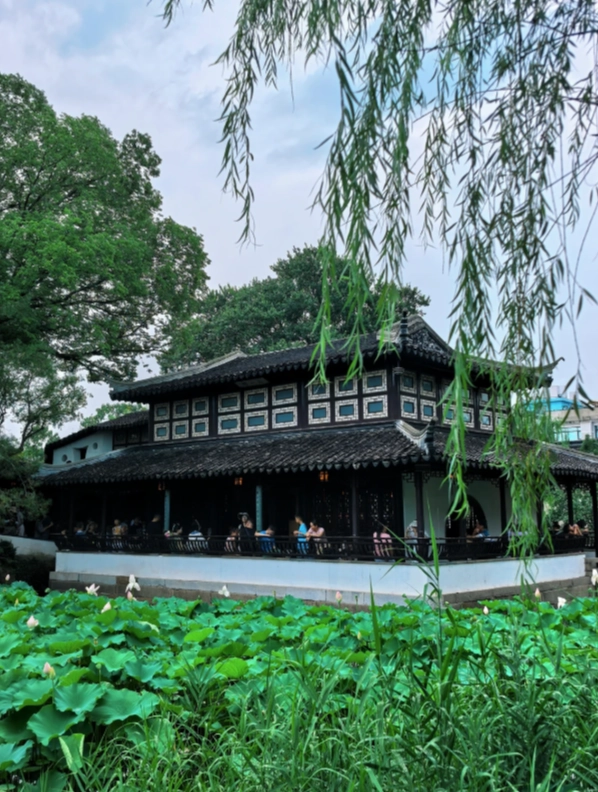 humble administrator's garden visiting time humble administrator's garden visiting time