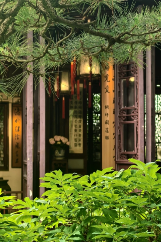 night garden tickets Suzhou