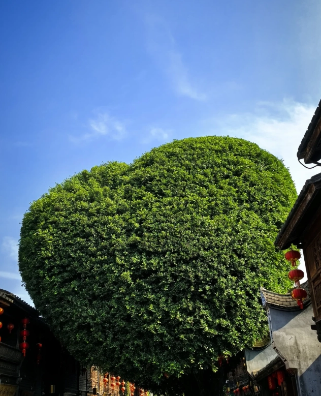 is sanfang qixiang worth it is sanfang qixiang worth it