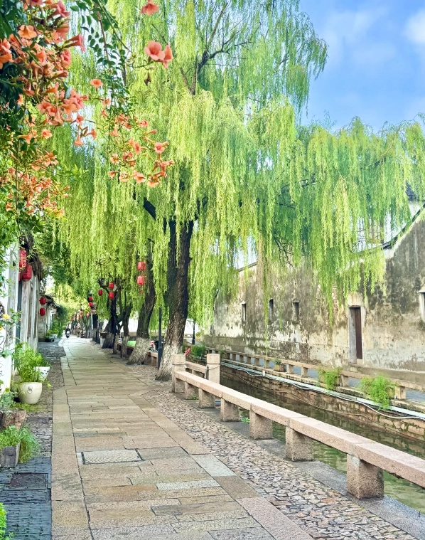 Pingjiang Road English Guide: Skip the Tourist Traps & Walk Like a Local