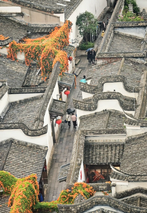 Three Lanes and Seven Alleys travel tips Three Lanes and Seven Alleys travel tips