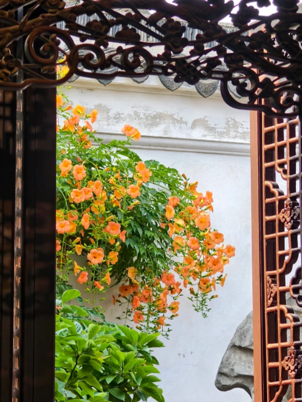 how to visit Master of the Nets Garden how to visit Master of the Nets Garden