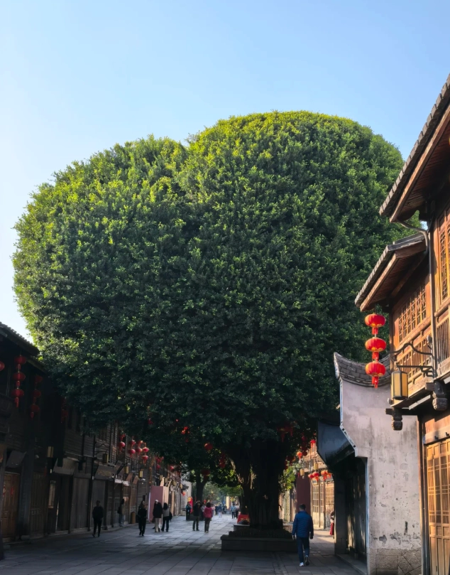 Three Lanes and Seven Alleys: How Long to Spend? Honest Guide