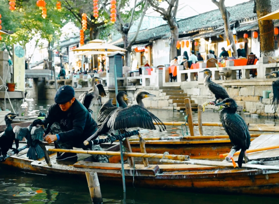 Tongli Water Town visit duration Tongli Water Town visit duration