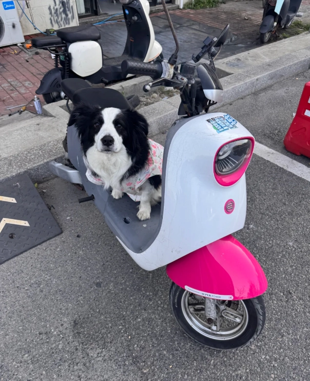 scooter rental Fujian scooter rental Fujian