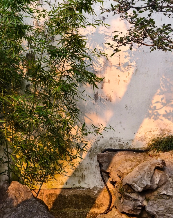 Wangshi Garden navigation Wangshi Garden navigation