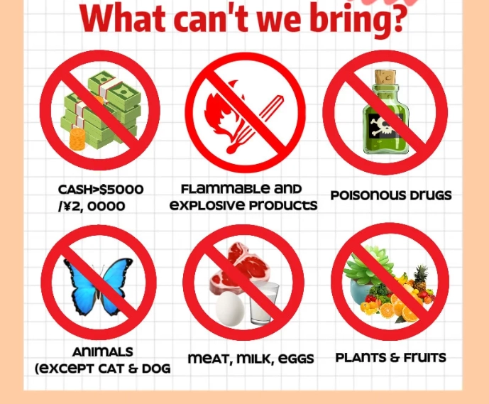 What Cannot Be Brought into China: Avoid Confiscation & Fines at Customs