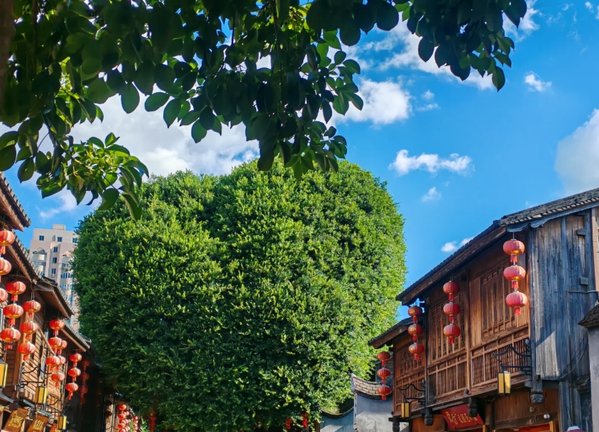 How to Get to Three Lanes and Seven Alleys: Best Routes & Insider Tips
