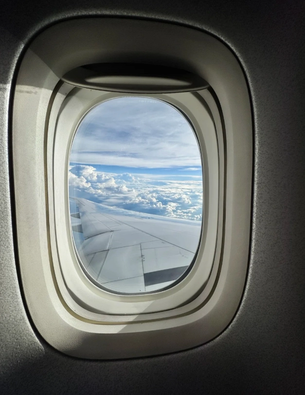 how to check in for domestic flight china