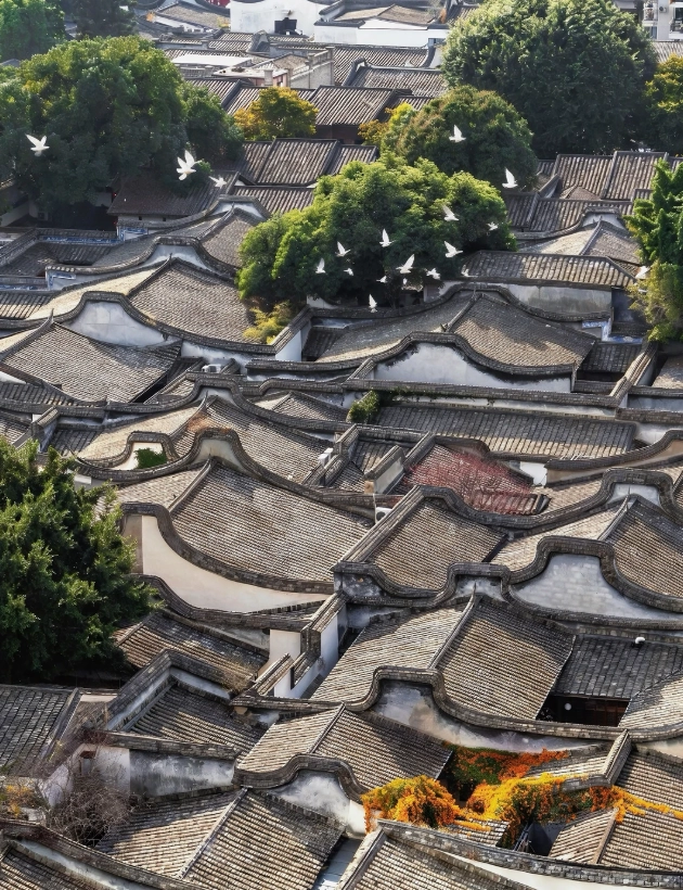 Three Lanes and Seven Alleys Walking Tour: Avoid Tourist Traps