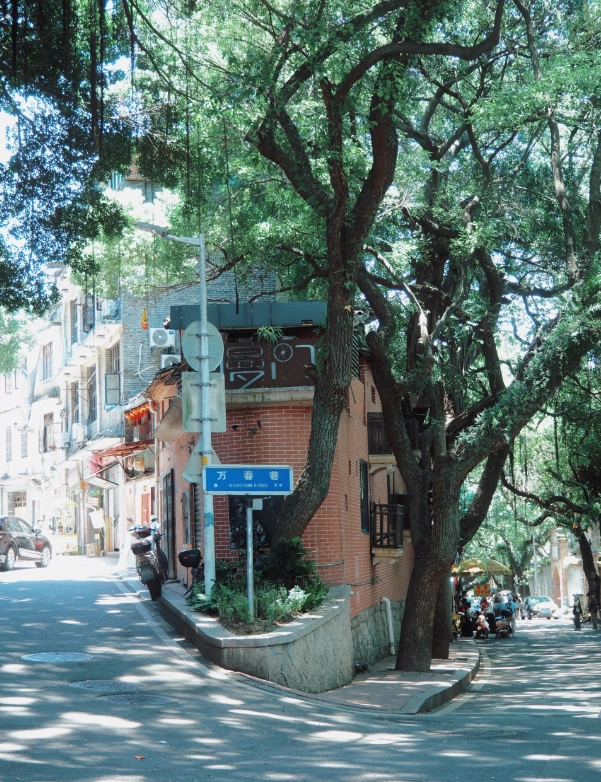 Yantai Mountain best time