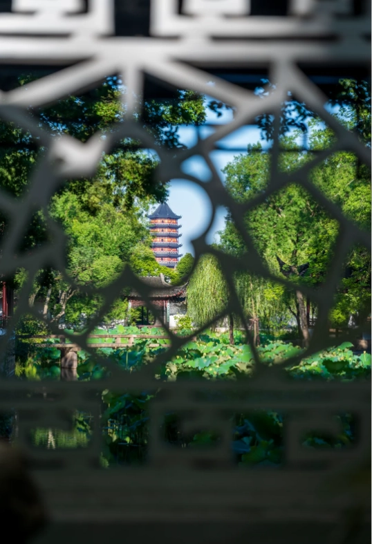 Suzhou garden photography Suzhou garden photography