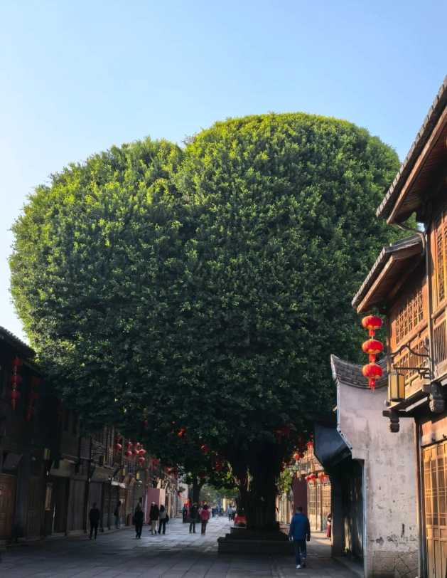 Fuzhou walking tour