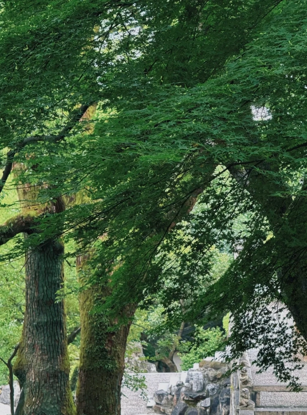 best time to visit tiger hill suzhou best time to visit tiger hill suzhou