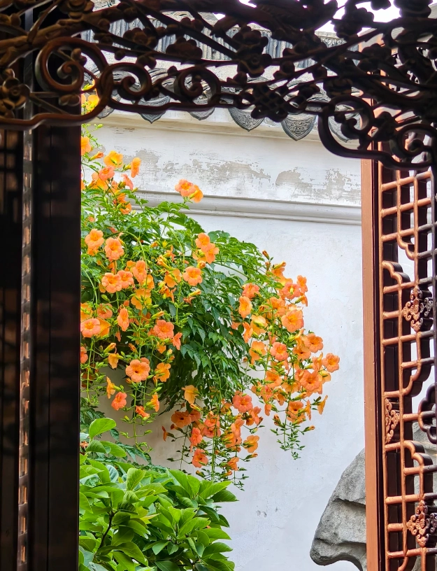 Suzhou garden hidden spots Suzhou garden hidden spots