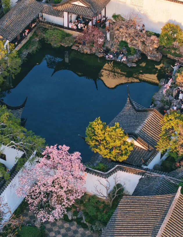 Master of the Nets Garden: Visitor's English Guide