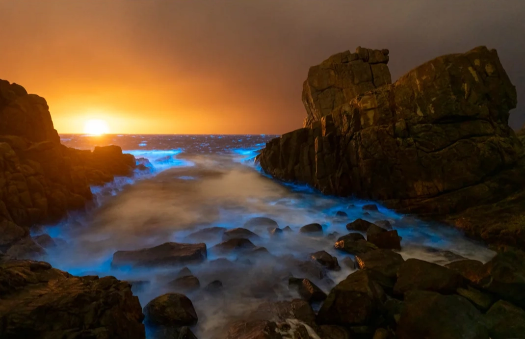 Best time to see blue tears Pingtan Best time to see blue tears Pingtan