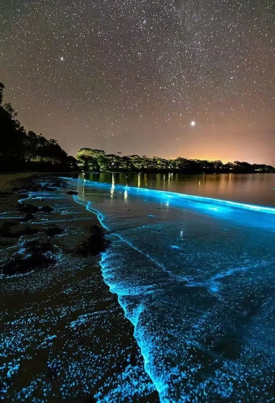 where to see blue tears pingtan where to see blue tears pingtan