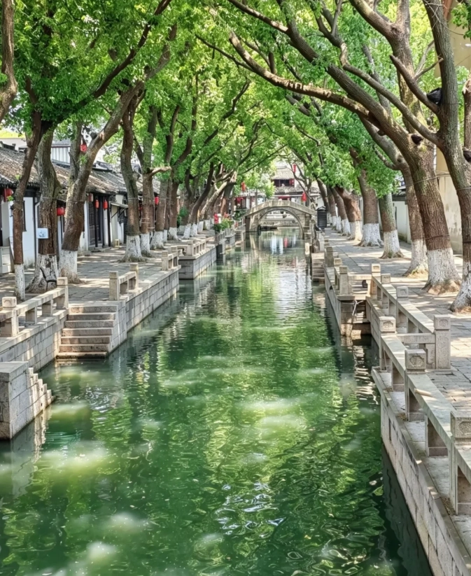 buy Tongli tickets online buy Tongli tickets online