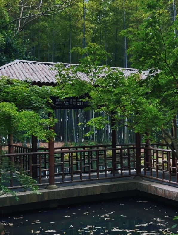 when to visit tiger hill suzhou when to visit tiger hill suzhou
